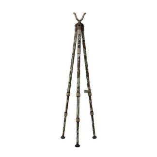 1237289 - Image 1