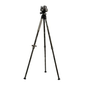 1237508 - Image 1