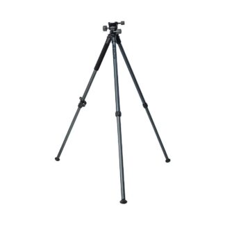 1239241 - Image 1