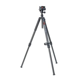 1250949 - Image 1