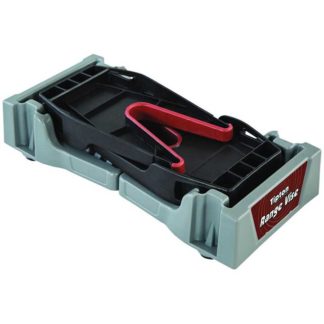 282282 - Image 1