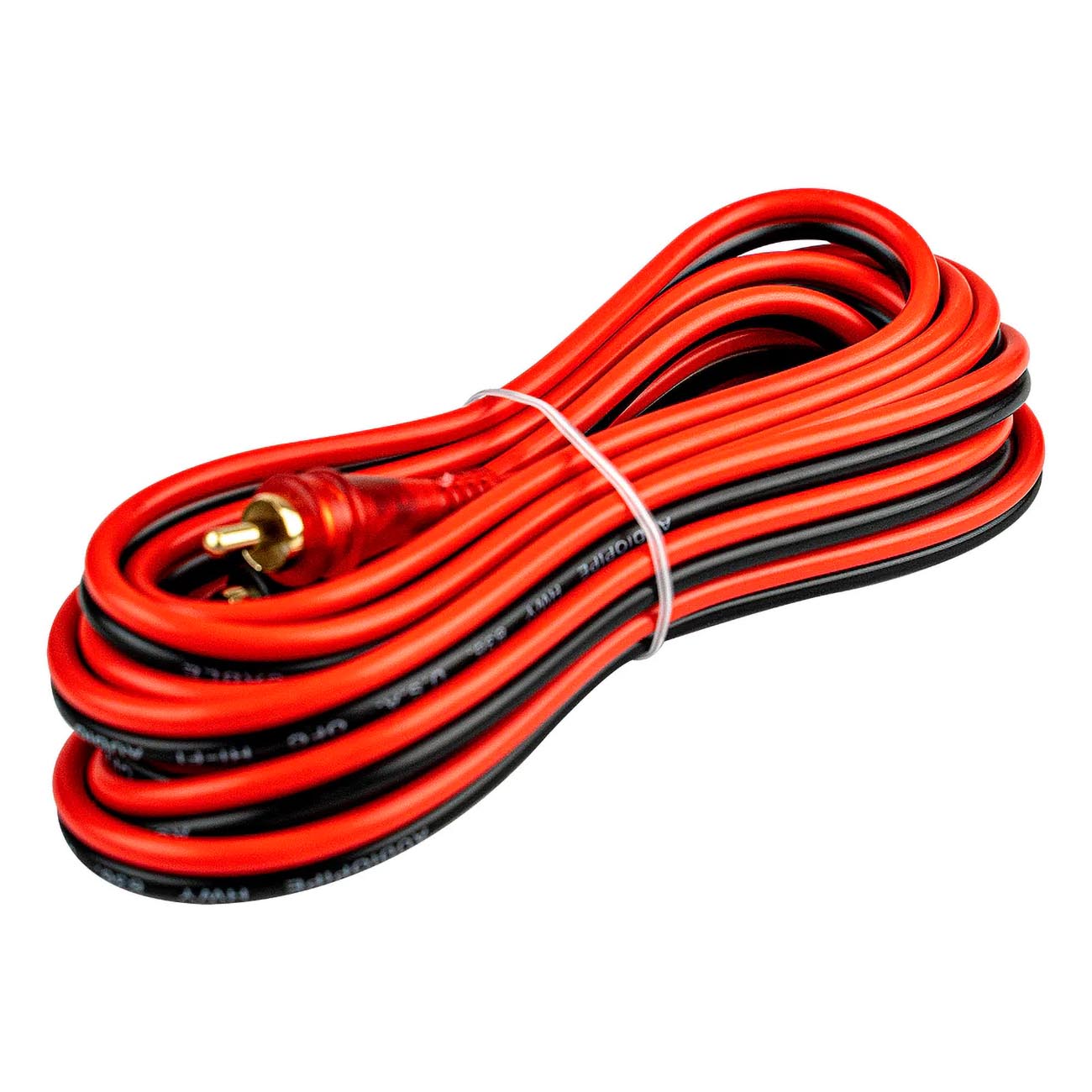 AMFV6_2.jpg AMFV6 - Image 2