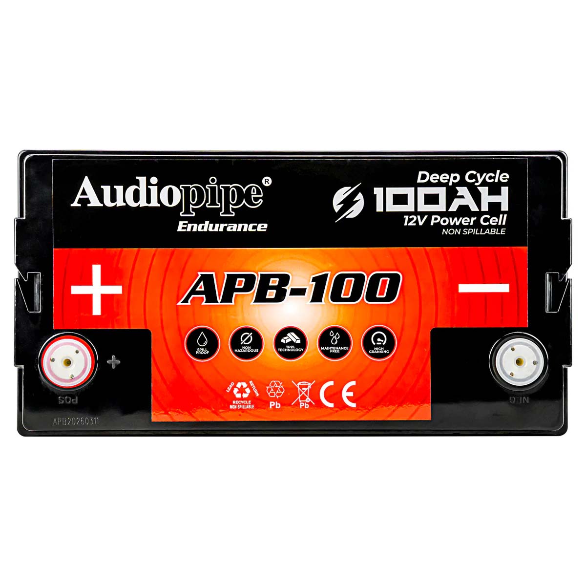 APB100_6.jpg APB100 - Image 6