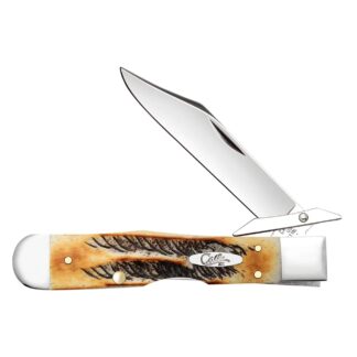 CASE65349 - Image 1