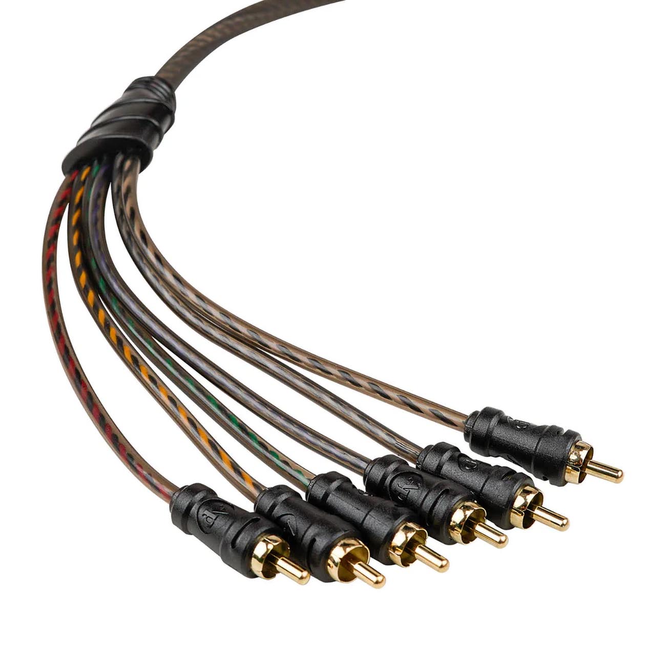 CPPMC3_4.jpg CPPMC3 - Image 4