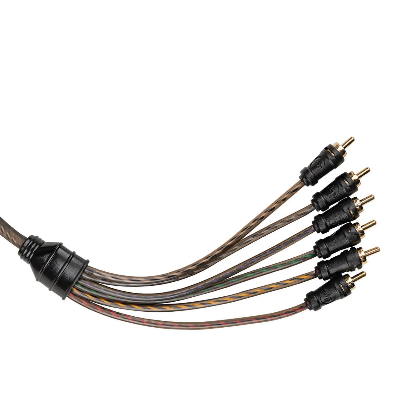 CPPMC6_4.jpg CPPMC6 - Image 4
