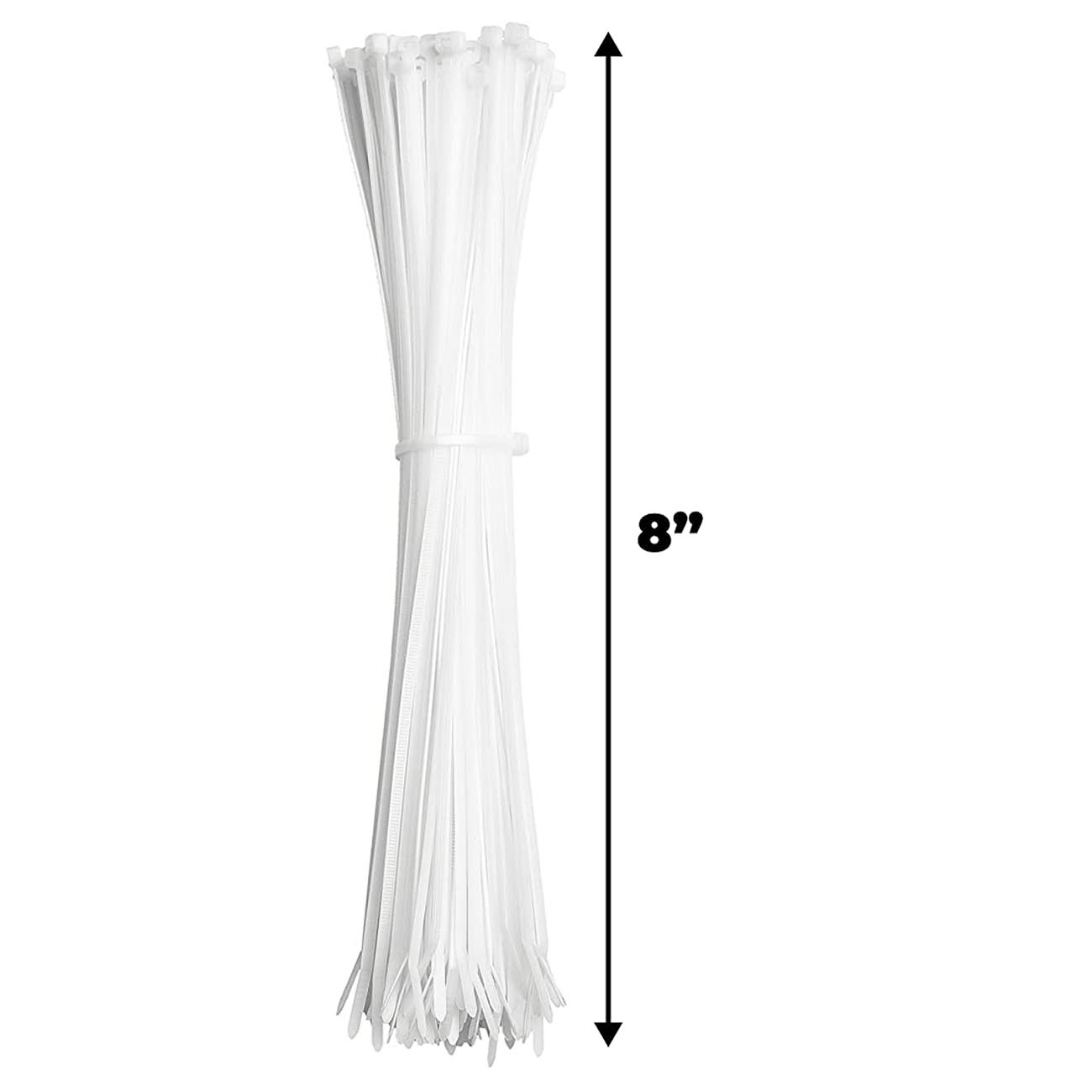 ISCT8_3.jpg ISCT8 - Image 3