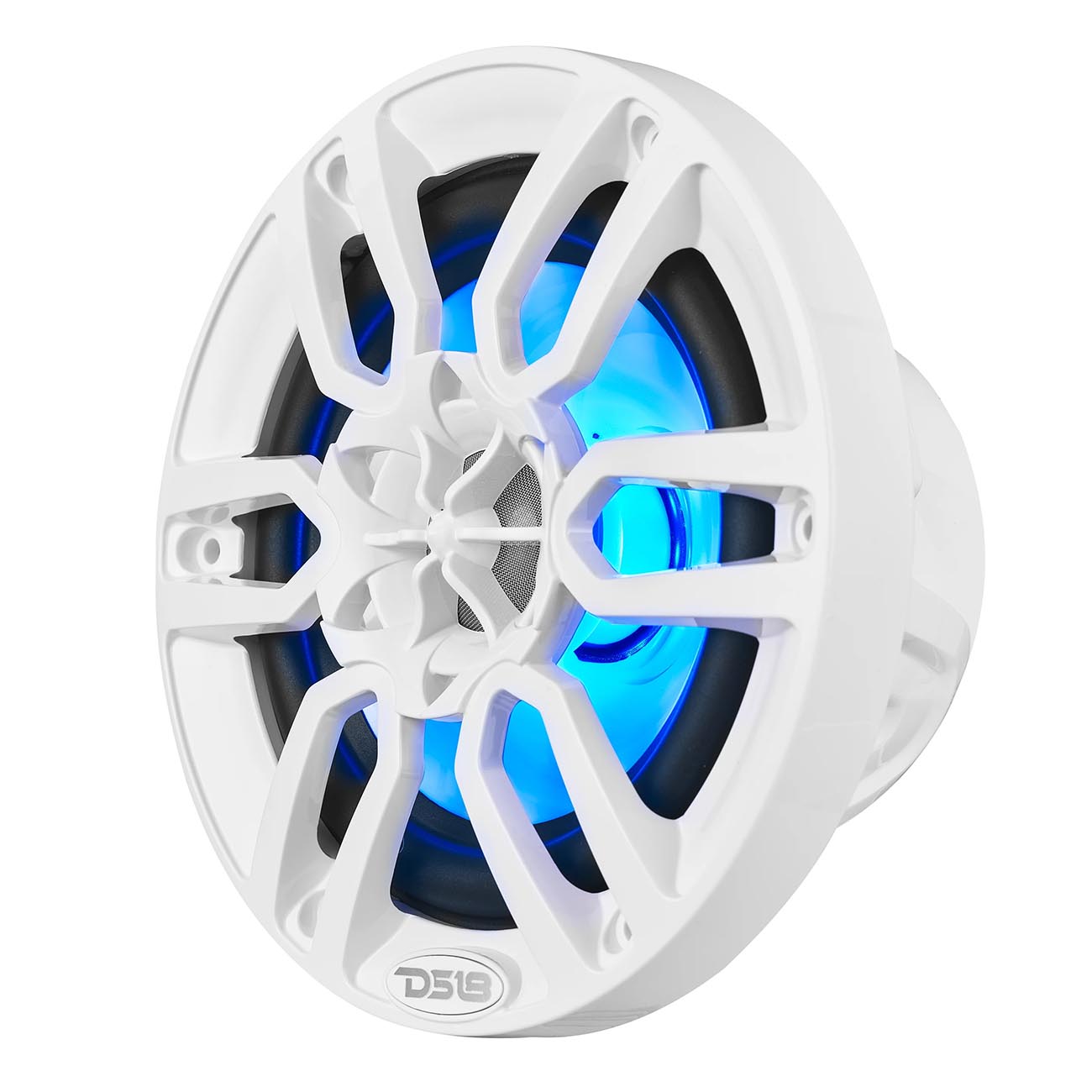 NXL6_4.jpg NXL6 - Image 4