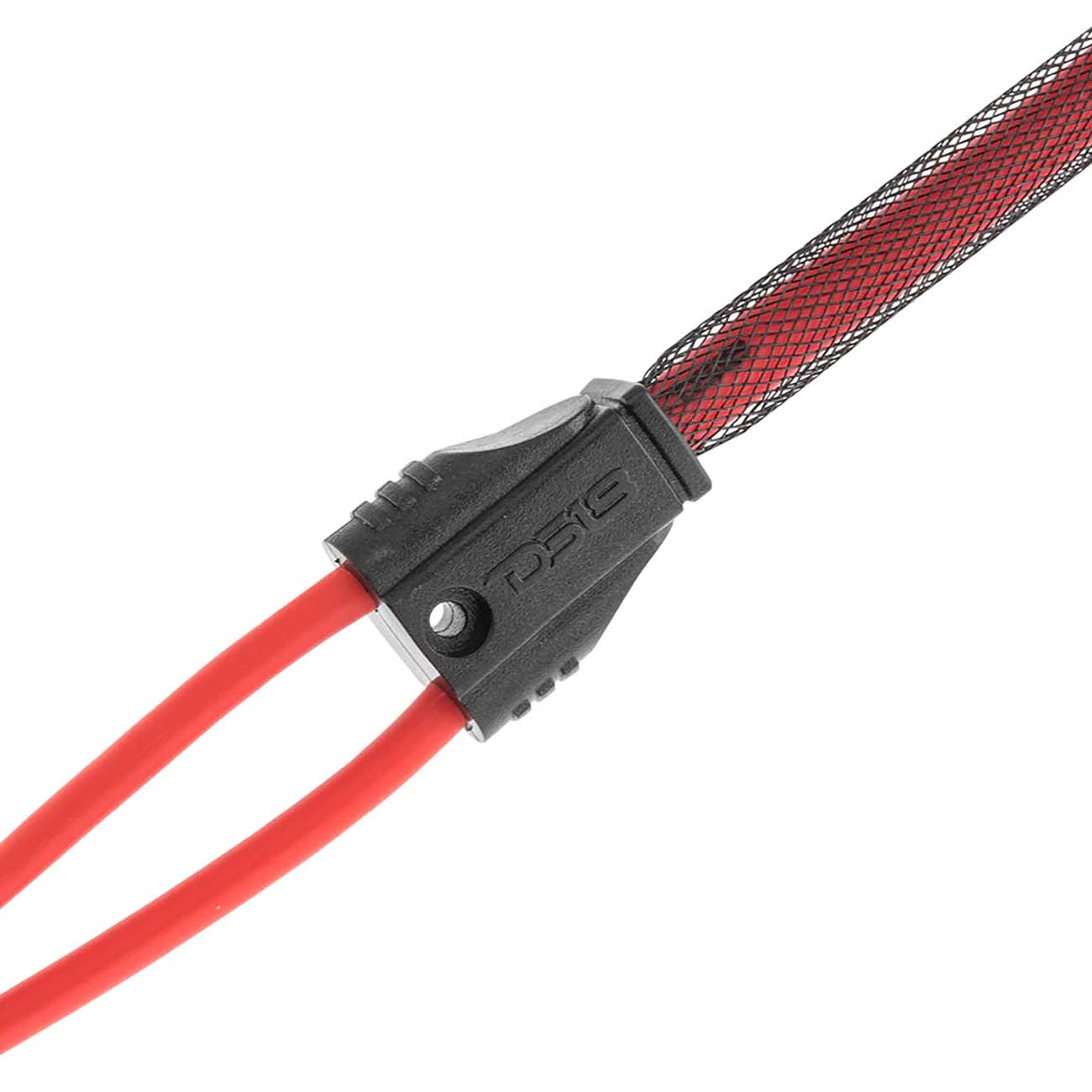 R1M2F_2.jpg R1M2F - Image 2