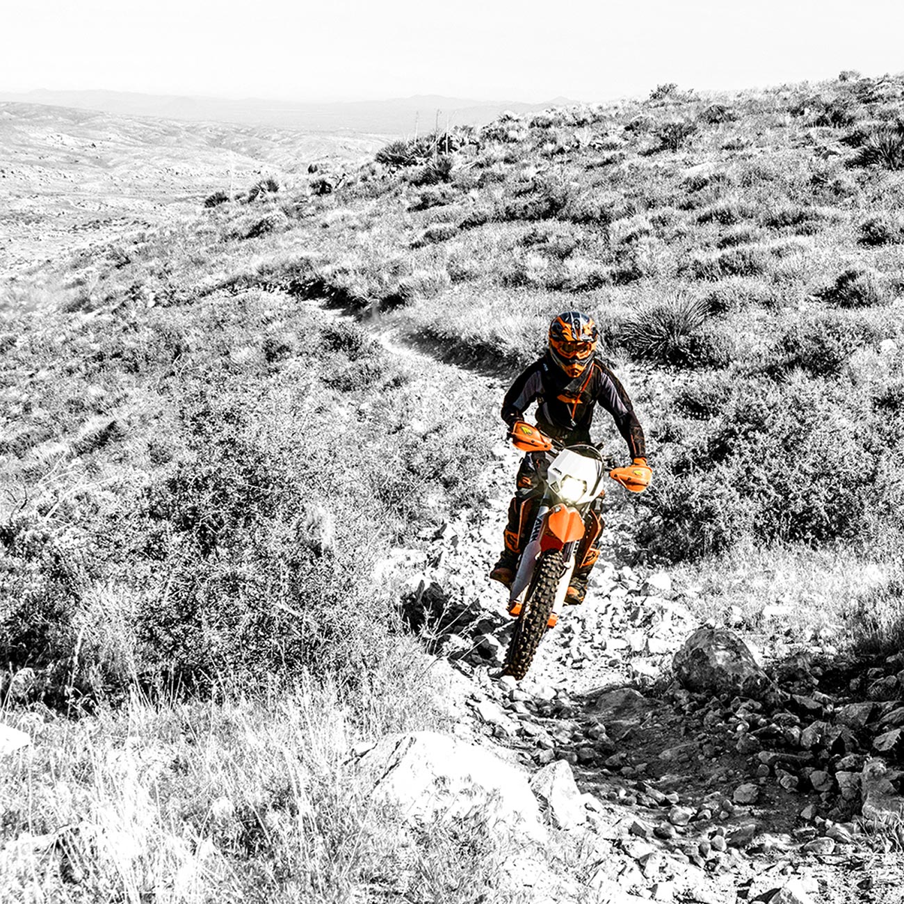SBKH_4.jpg SBKH - Image 4