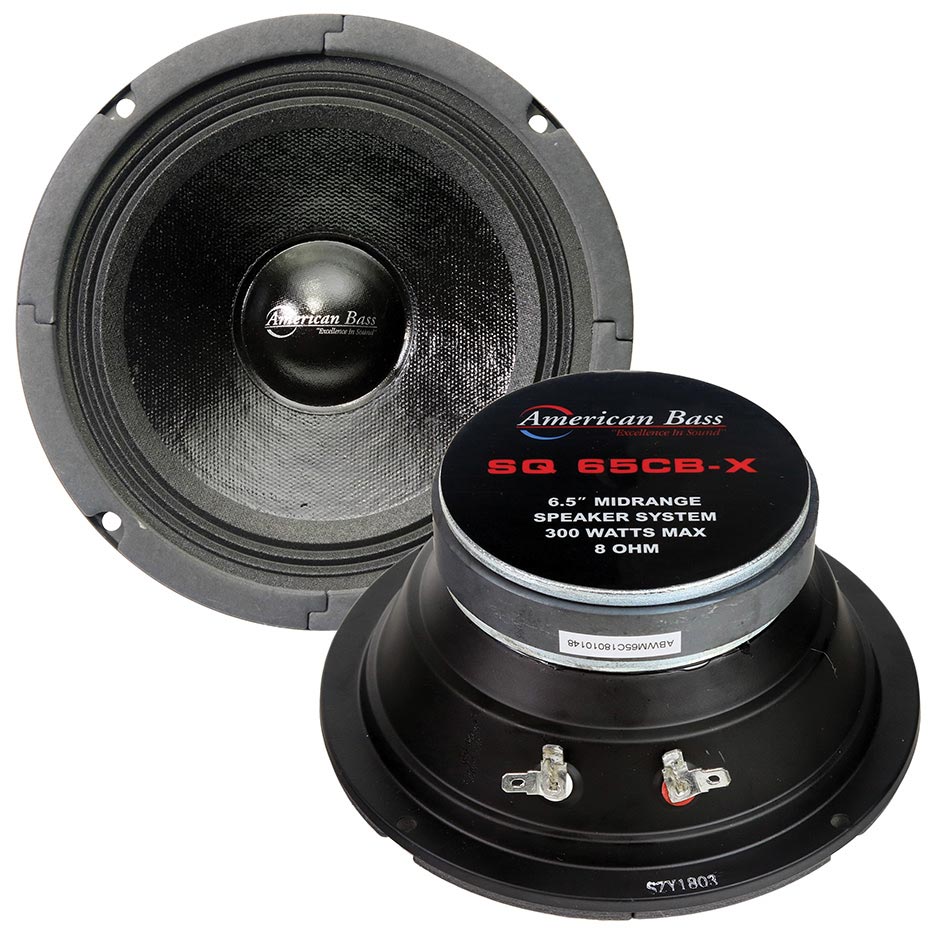Midrange Speaker, 150W RMS/300W Max, 8 